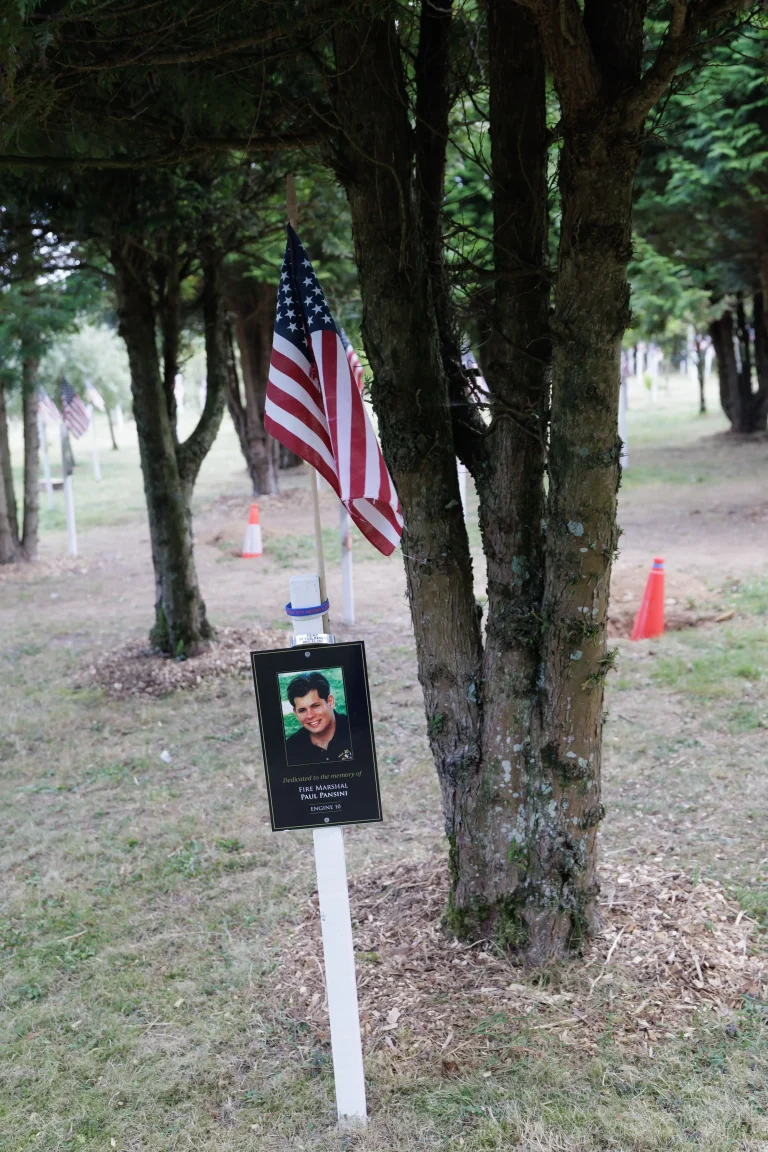 Photo of Paul Pansini's tree in Ringfinnan Garden of Remembrance