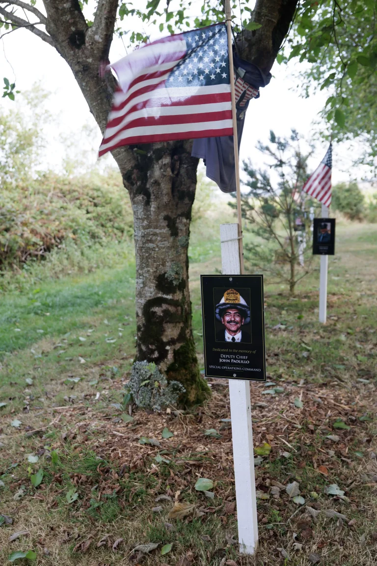 Photo of John Paolillo's tree in Ringfinnan Garden of Remembrance