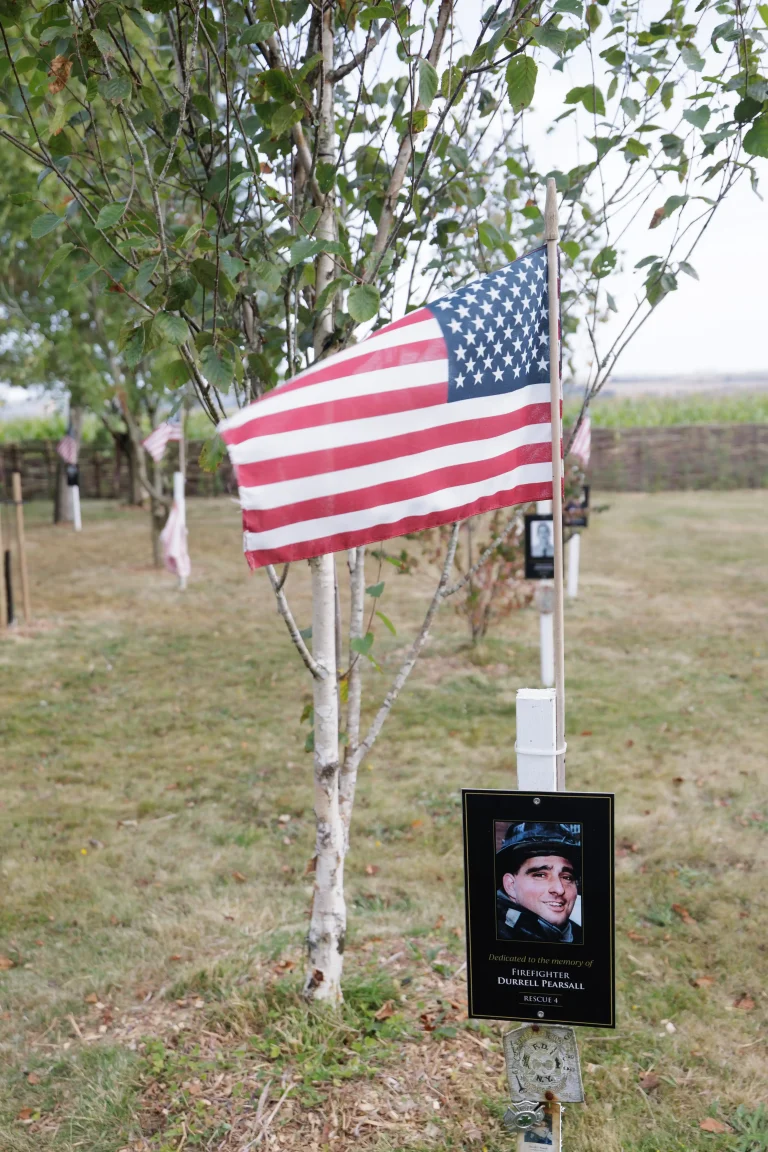 Photo of Durrell Pearsall's tree in Ringfinnan Garden of Remembrance