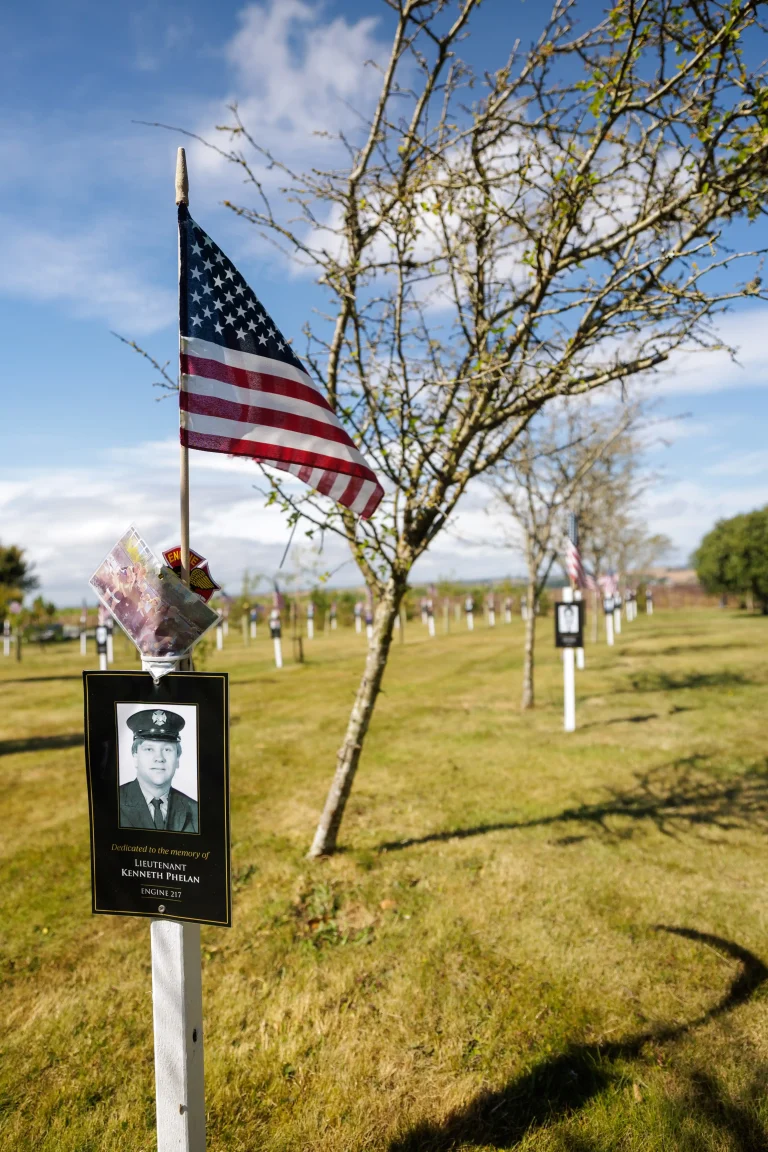Photo of Kenneth Phelan's tree in Ringfinnan Garden of Remembrance