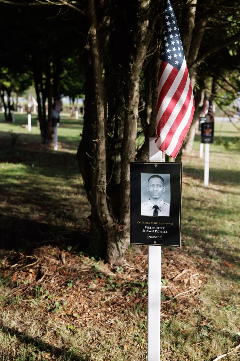 Photo of Shawn Powell's tree in Ringfinnan Garden of Remembrance