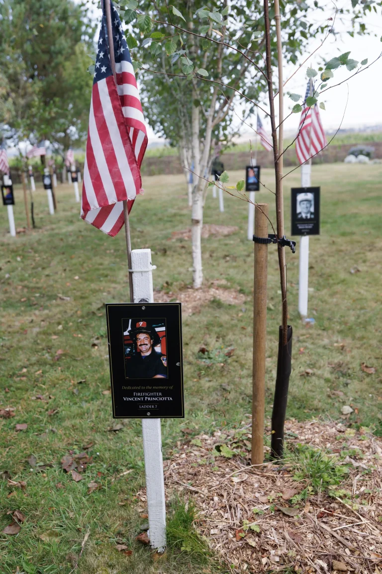 Photo of Vincent Princiotta's tree in Ringfinnan Garden of Remembrance