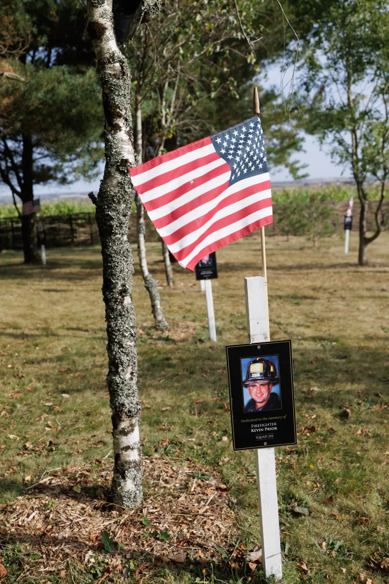 Photo of Kevin Prior's tree in Ringfinnan Garden of Remembrance
