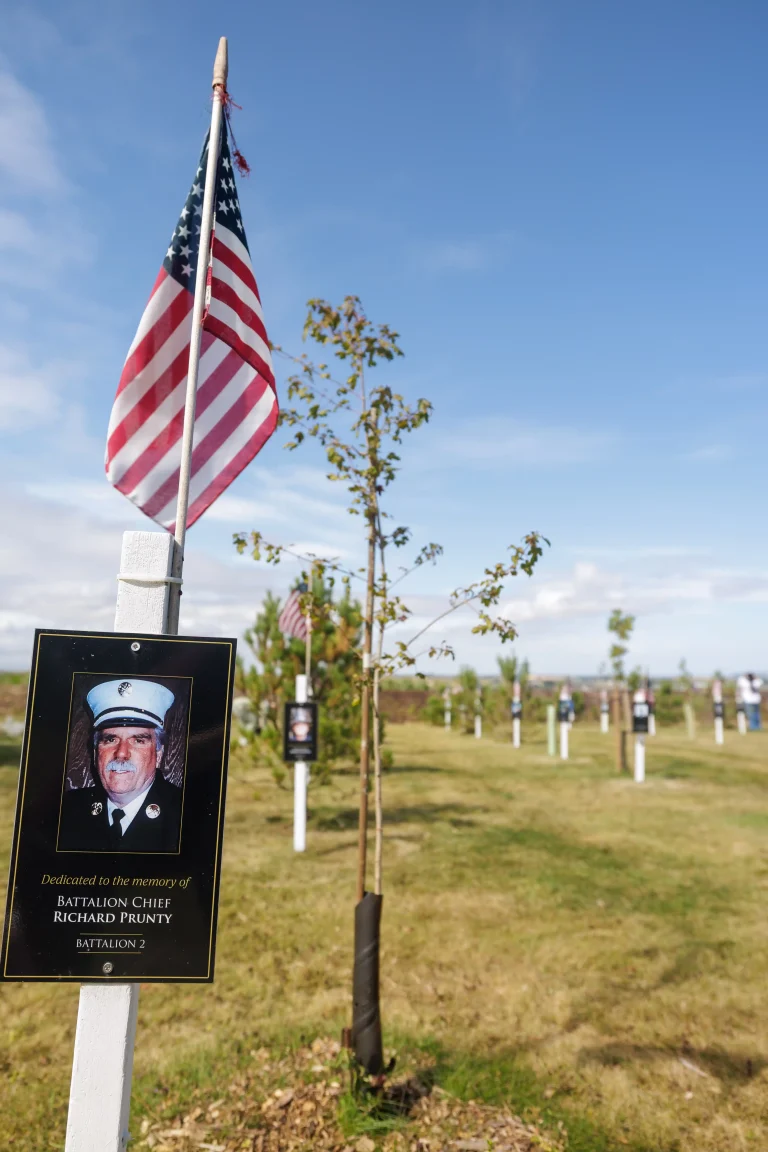 Photo of Richard Prunty's tree in Ringfinnan Garden of Remembrance