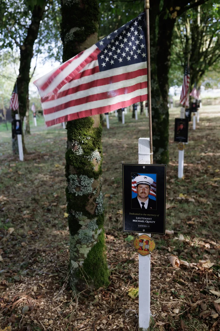 Photo of Michael Quilty's tree in Ringfinnan Garden of Remembrance
