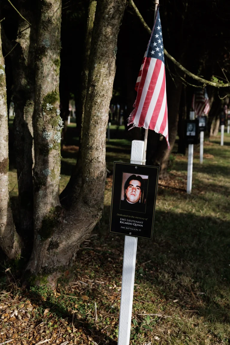 Photo of Ricardo Quinn's tree in Ringfinnan Garden of Remembrance