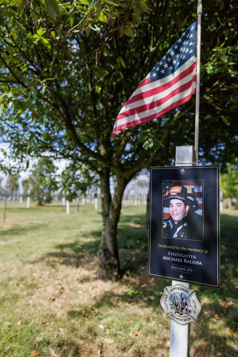 Photo of Michael Ragusa's tree in Ringfinnan Garden of Remembrance