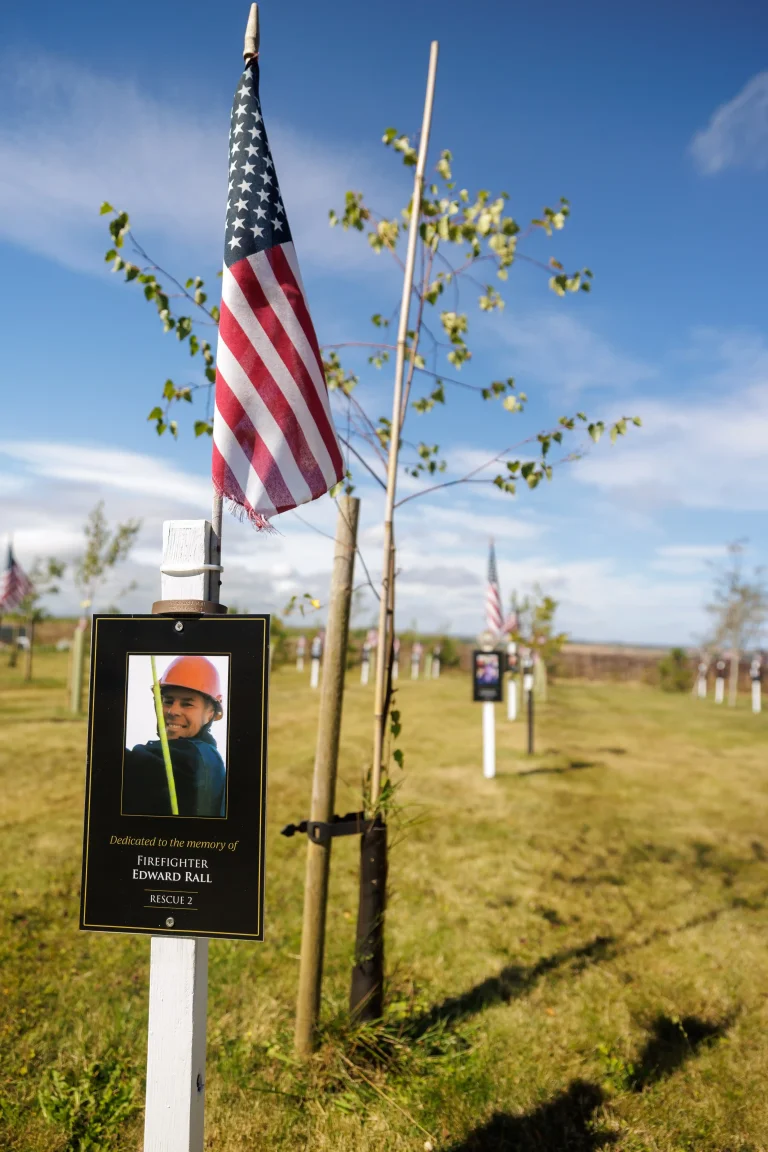 Photo of Edward Rall's tree in Ringfinnan Garden of Remembrance