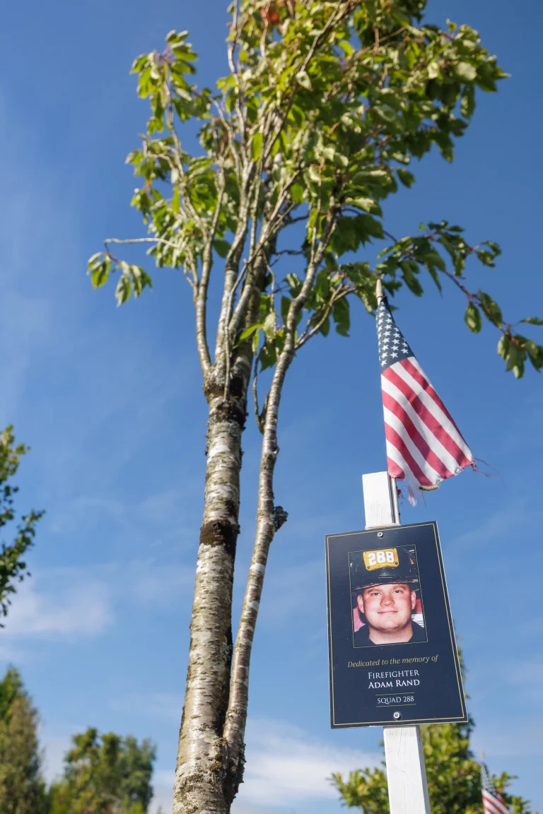 Photo of Adam Rand's tree in Ringfinnan Garden of Remembrance
