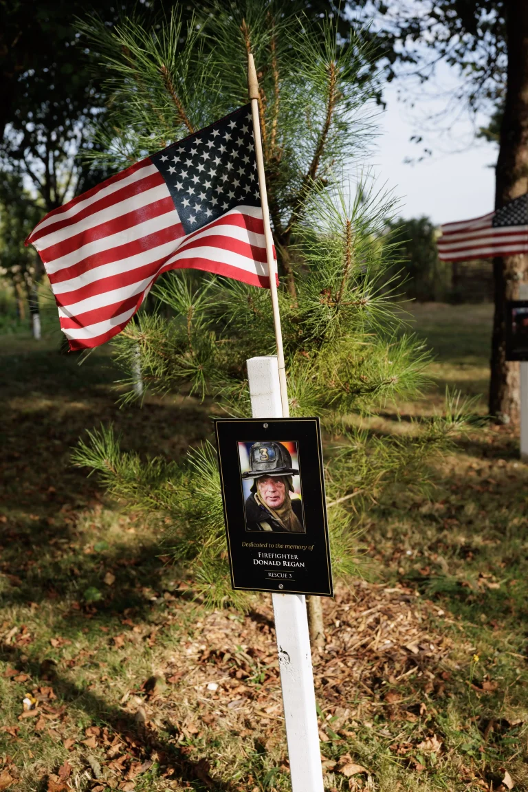 Photo of Donald Regan's tree in Ringfinnan Garden of Remembrance