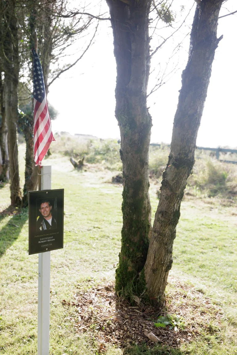 Photo of Robert Regan's tree in Ringfinnan Garden of Remembrance