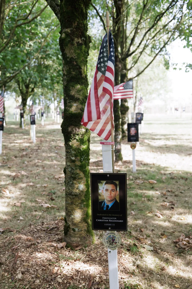 Photo of Christian Regenhard's tree in Ringfinnan Garden of Remembrance
