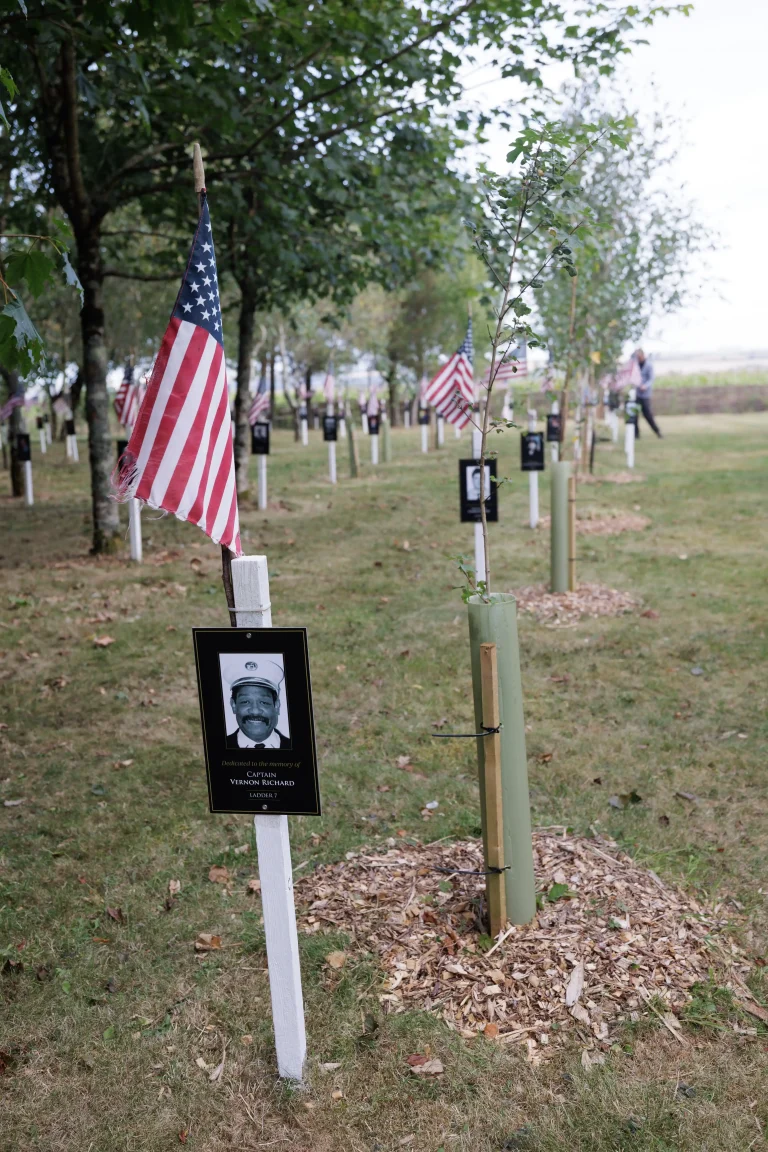 Photo of Vernon Richard's tree in Ringfinnan Garden of Remembrance