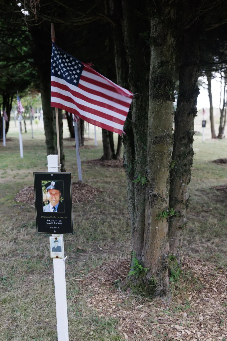 Photo of James Riches's tree in Ringfinnan Garden of Remembrance