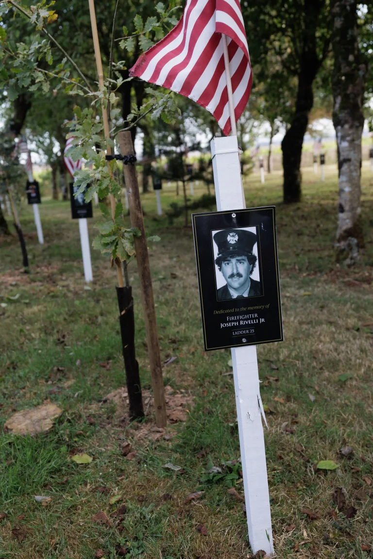 Photo of Joseph Rivelli Jr's tree in Ringfinnan Garden of Remembrance