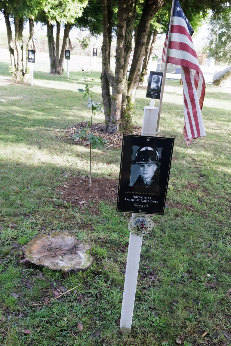 Photo of Anthony Rodriguez's tree in Ringfinnan Garden of Remembrance