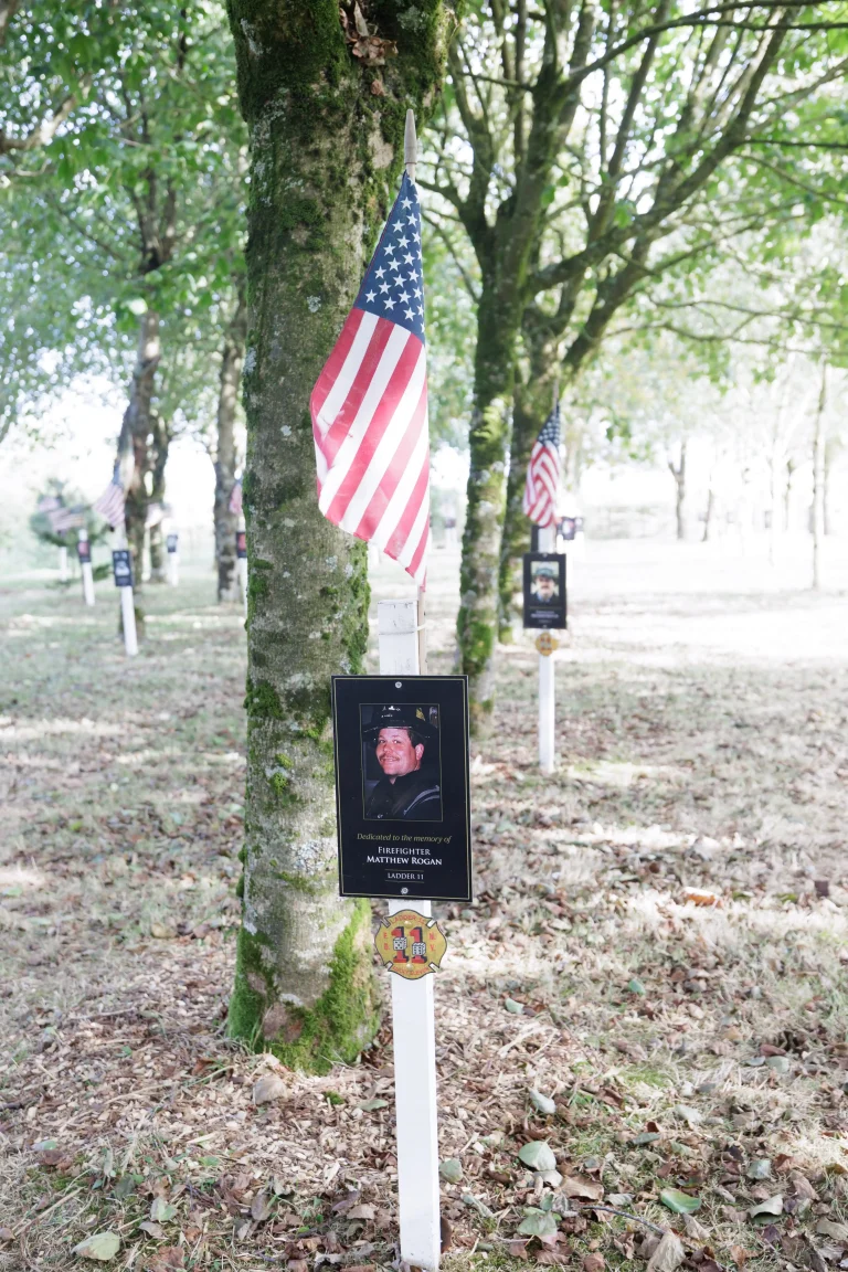Photo of Matthew Rogan's tree in Ringfinnan Garden of Remembrance
