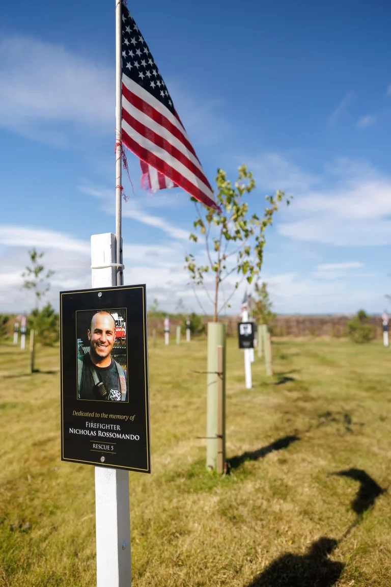 Photo of Nicholas Rossomando's tree in Ringfinnan Garden of Remembrance