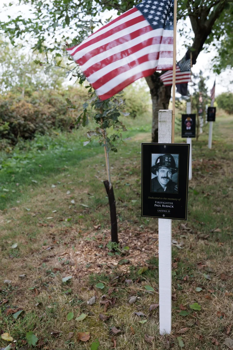 Photo of Paul Ruback's tree in Ringfinnan Garden of Remembrance
