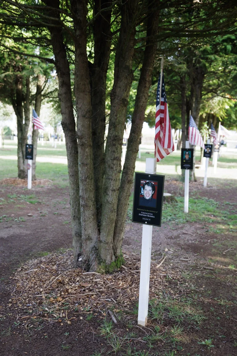 Photo of Stephen Russell's tree in Ringfinnan Garden of Remembrance