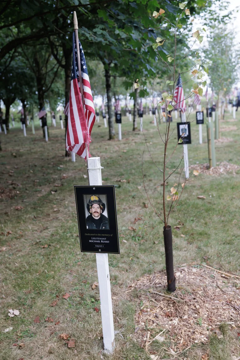 Photo of Michael Russo's tree in Ringfinnan Garden of Remembrance