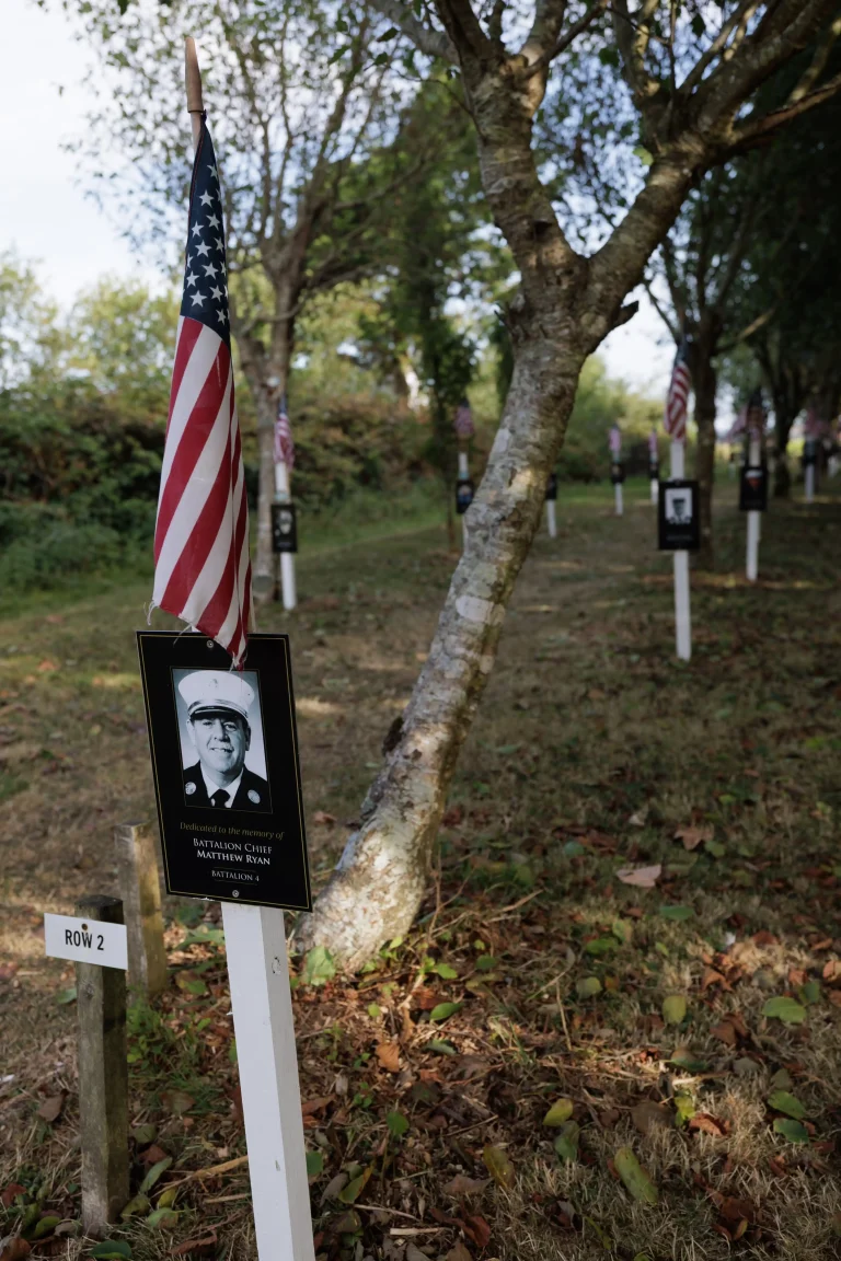 Photo of Matthew Ryan's tree in Ringfinnan Garden of Remembrance