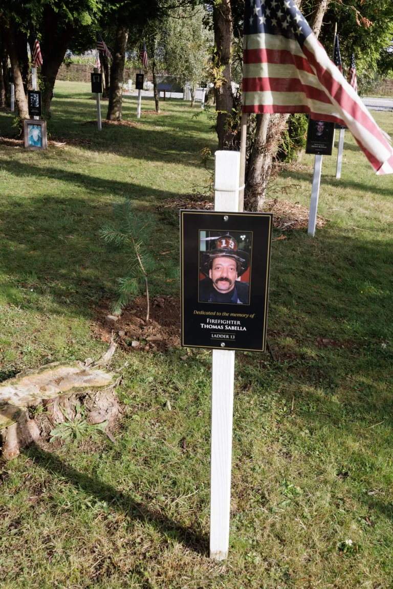 Photo of Thomas Sabella's tree in Ringfinnan Garden of Remembrance