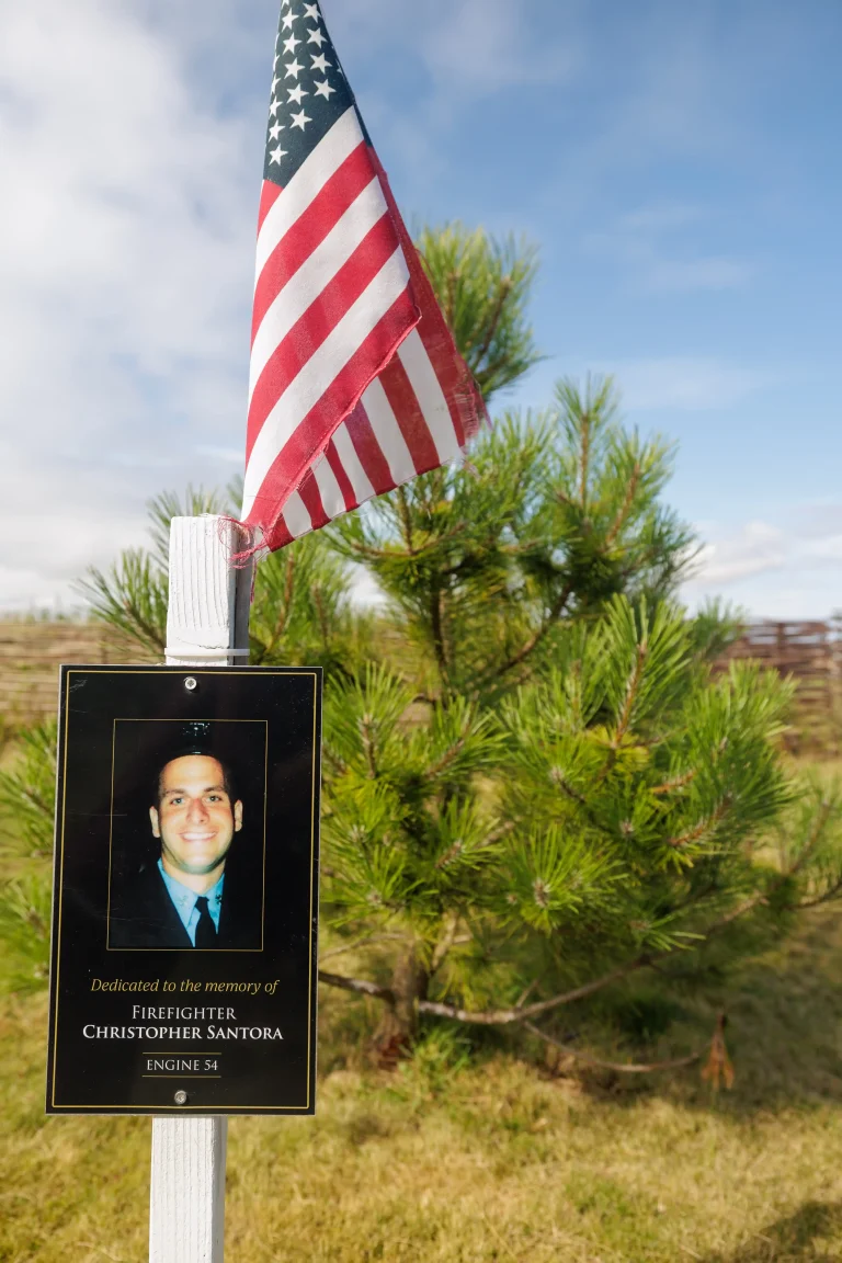 Photo of Christopher Santora's tree in Ringfinnan Garden of Remembrance