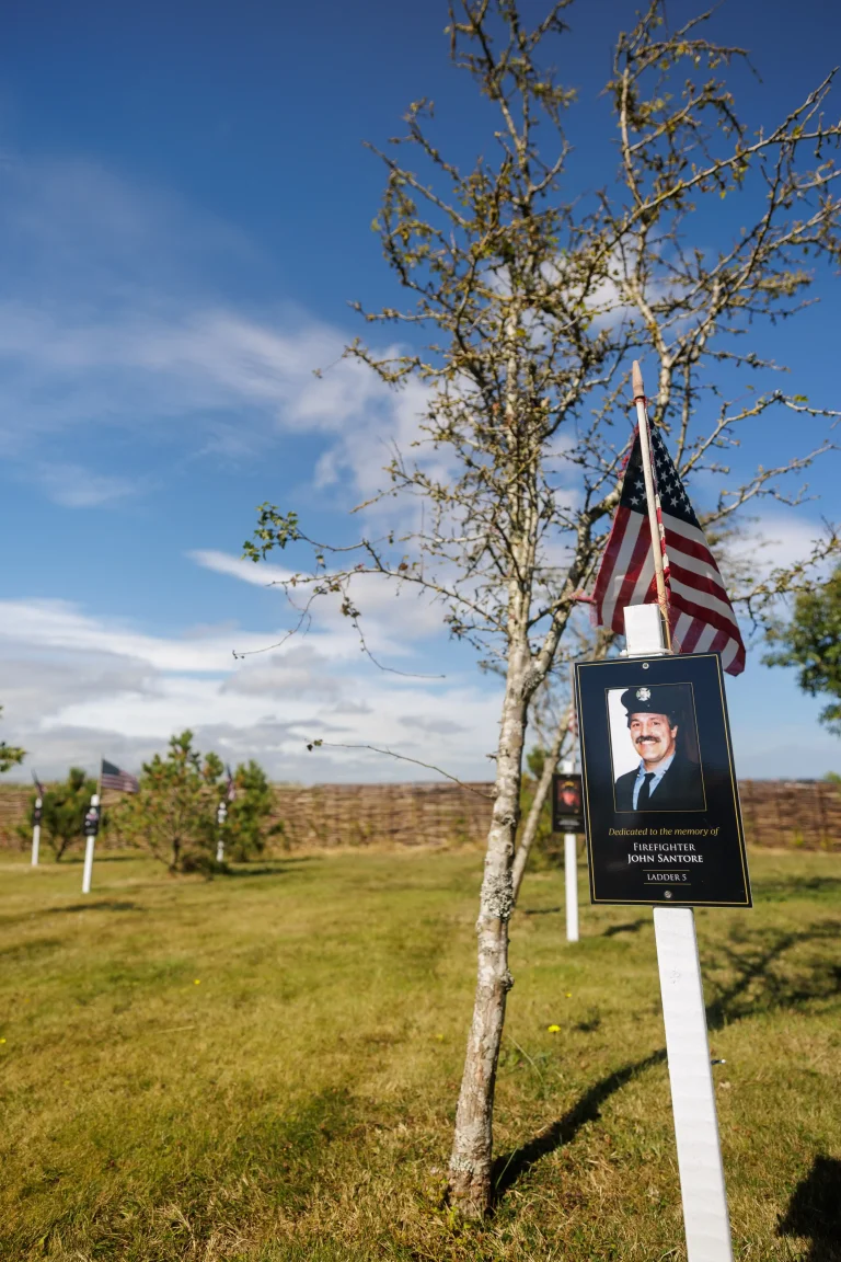 Photo of John Santore's tree in Ringfinnan Garden of Remembrance