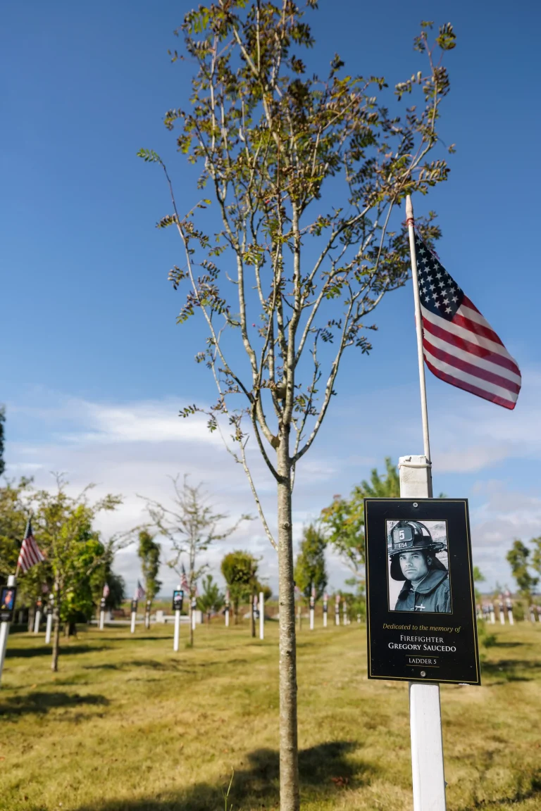 Photo of Gregory Saucedo's tree in Ringfinnan Garden of Remembrance