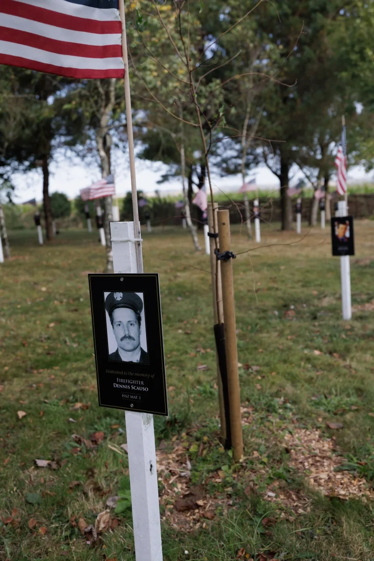 Photo of Dennis Scauso's tree in Ringfinnan Garden of Remembrance