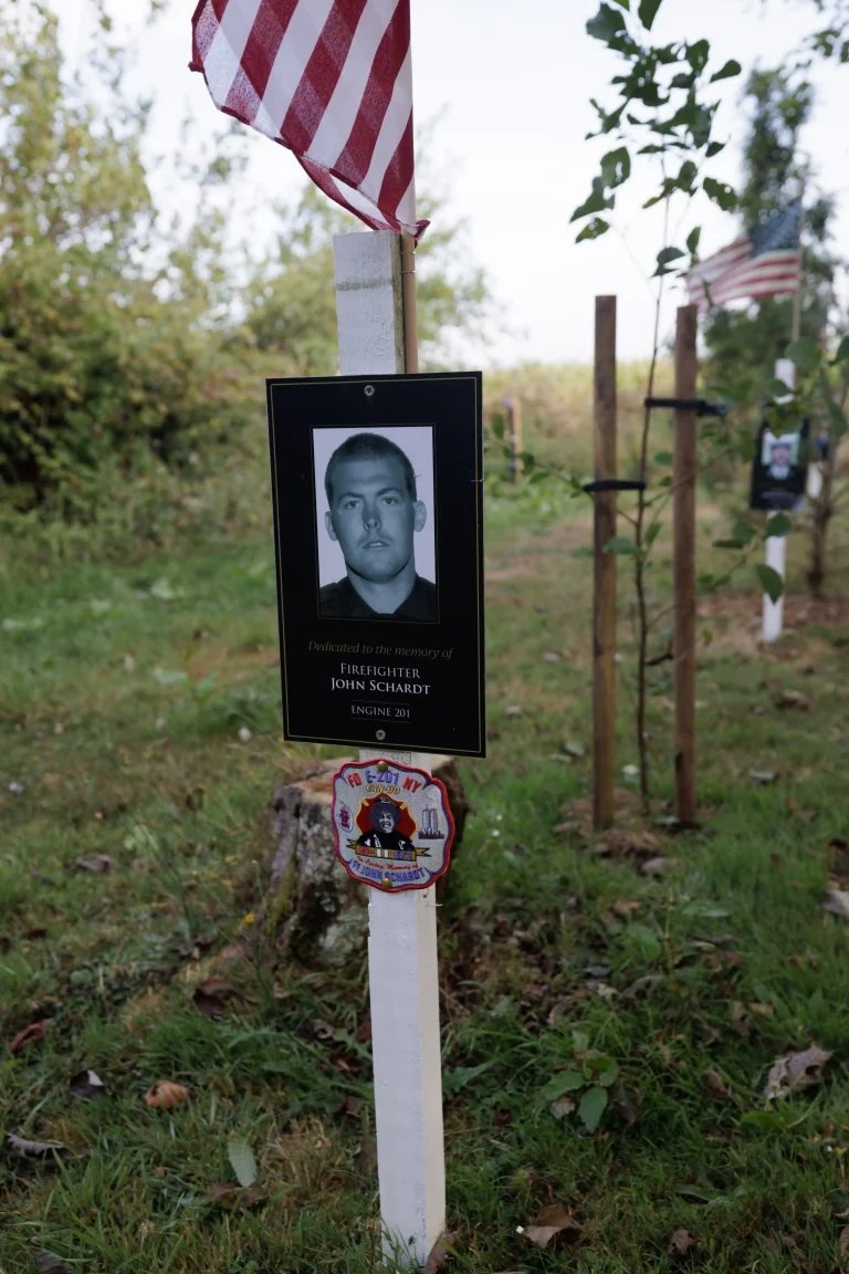 Photo of John Schardt's tree in Ringfinnan Garden of Remembrance