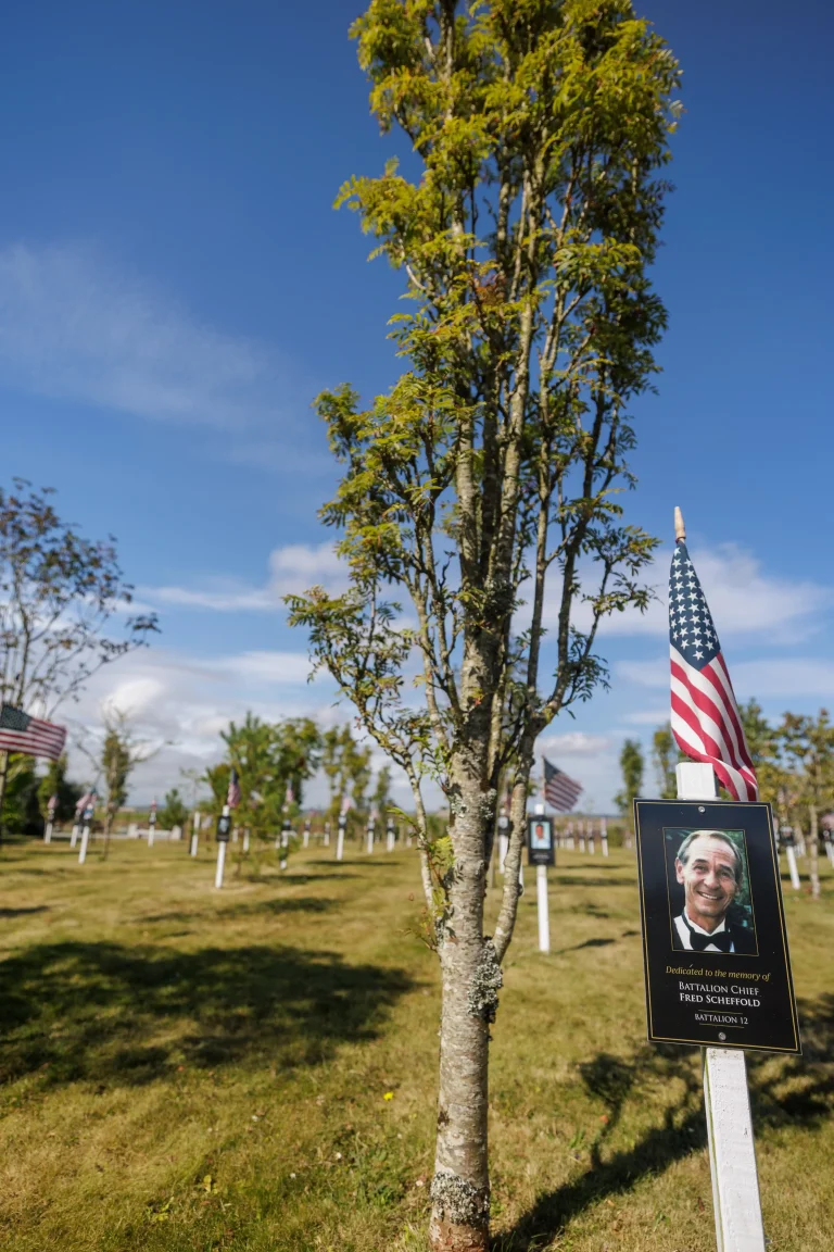 Photo of Fred Scheffold's tree in Ringfinnan Garden of Remembrance