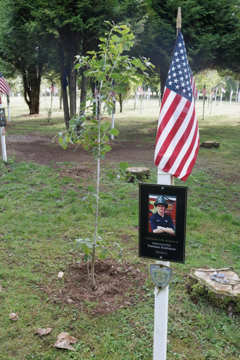 Photo of Thomas Schoales's tree in Ringfinnan Garden of Remembrance