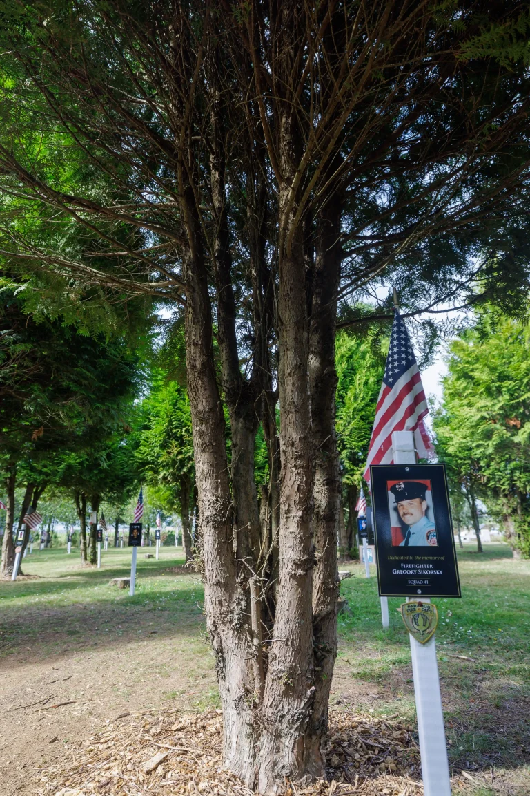 Photo of Gregory Sikorsky's tree in Ringfinnan Garden of Remembrance