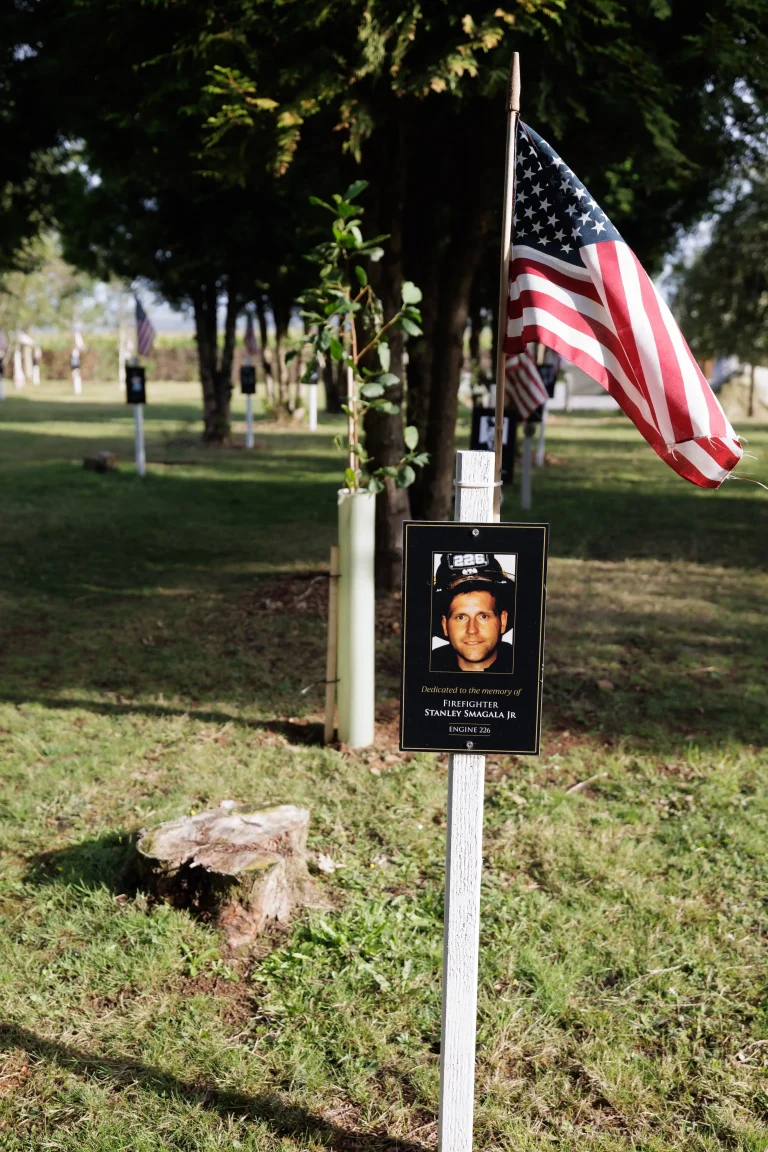 Photo of Stanley Smagala Jr's tree in Ringfinnan Garden of Remembrance