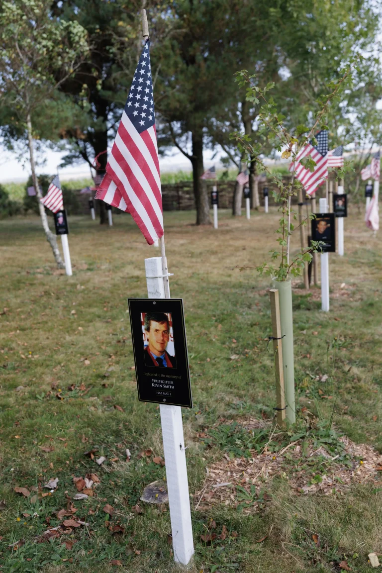 Photo of Kevin Smith's tree in Ringfinnan Garden of Remembrance