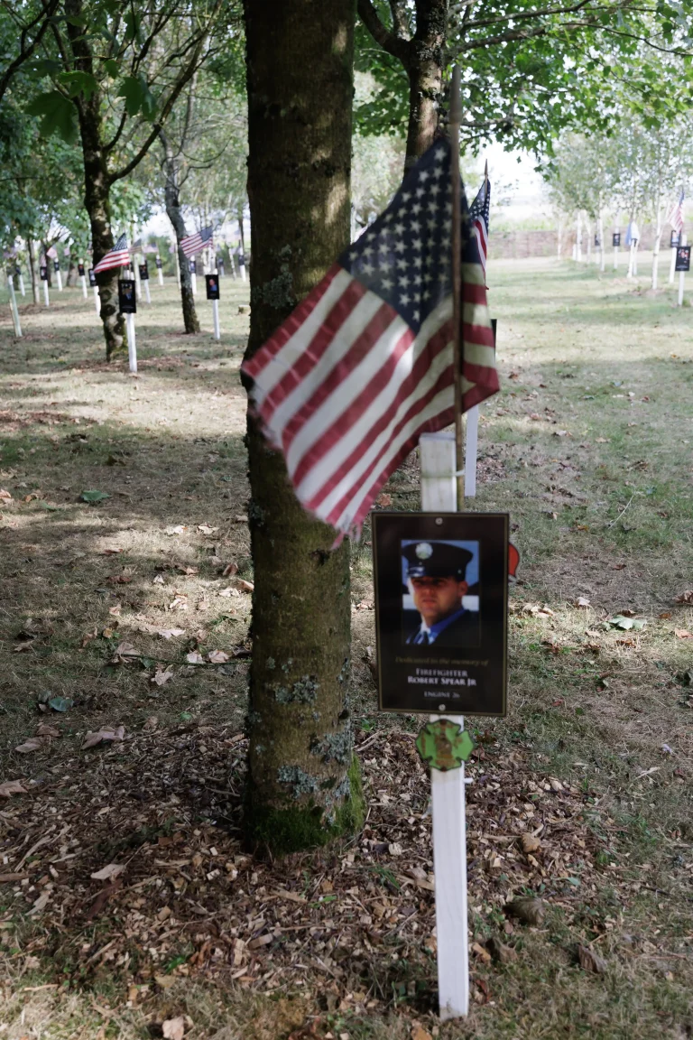 Photo of Robert Spear Jr's tree in Ringfinnan Garden of Remembrance