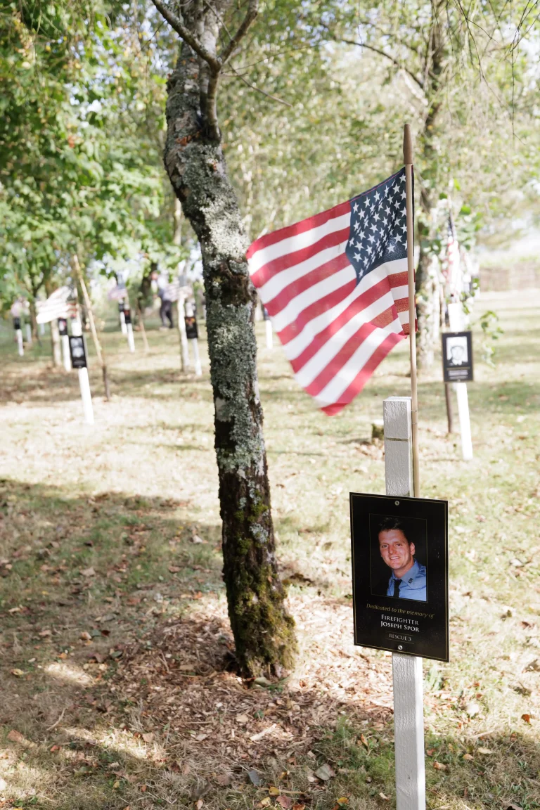 Photo of Joseph Spor's tree in Ringfinnan Garden of Remembrance