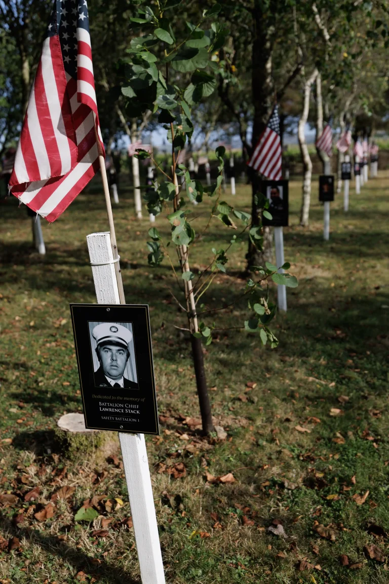 Photo of Lawrence Stack's tree in Ringfinnan Garden of Remembrance