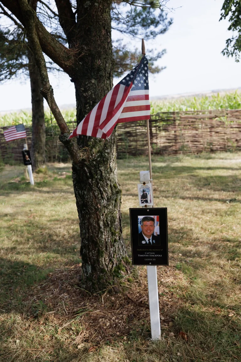 Photo of Timothy Stackpole's tree in Ringfinnan Garden of Remembrance