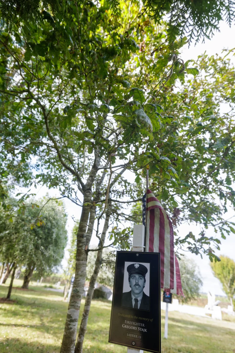 Photo of Gregory Stajk's tree in Ringfinnan Garden of Remembrance