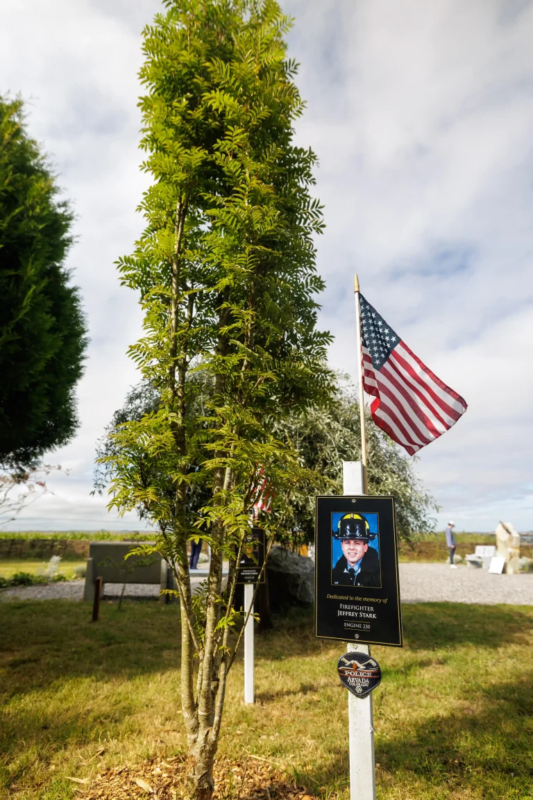 Photo of Jeffrey Stark's tree in Ringfinnan Garden of Remembrance