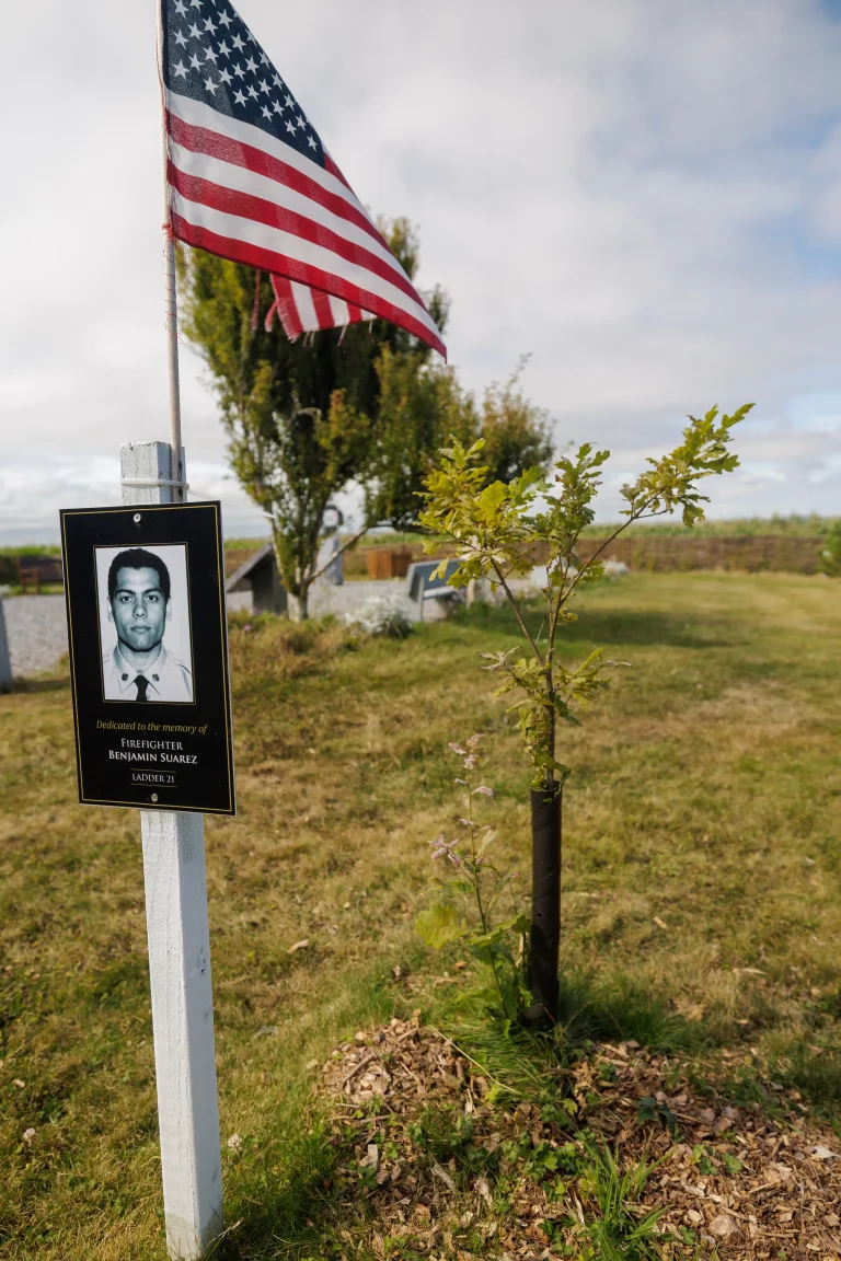 Photo of Benjamin Suarez's tree in Ringfinnan Garden of Remembrance