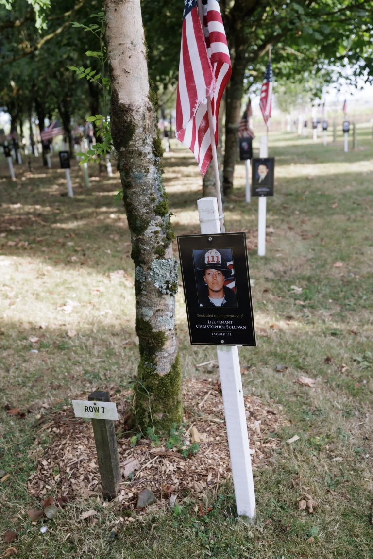 Photo of Christopher Sullivan's tree in Ringfinnan Garden of Remembrance