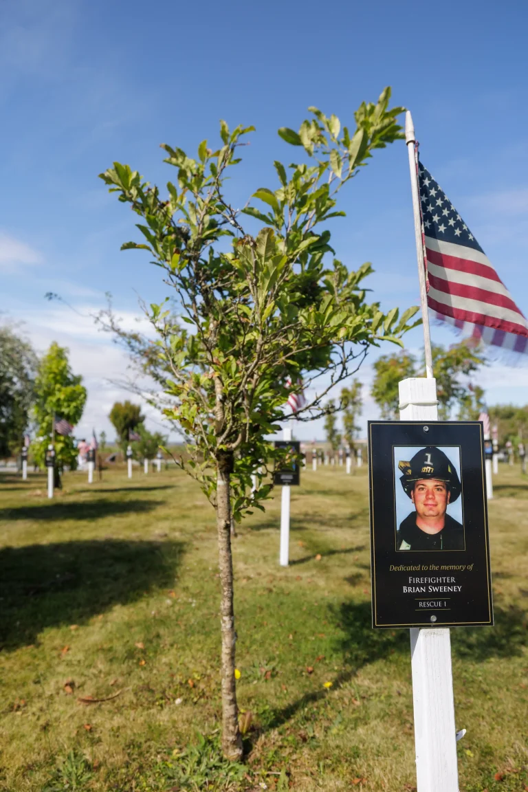 Photo of Brian Sweeney's tree in Ringfinnan Garden of Remembrance