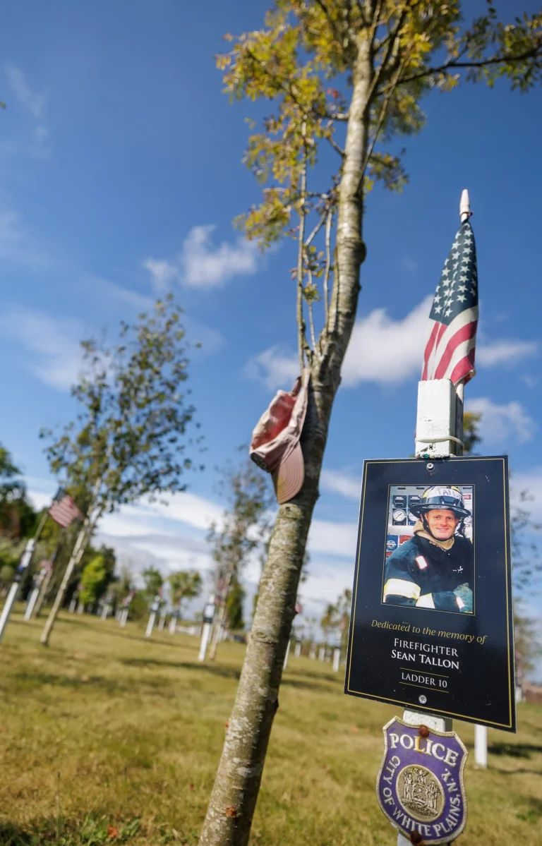 Photo of Sean Tallon's tree in Ringfinnan Garden of Remembrance