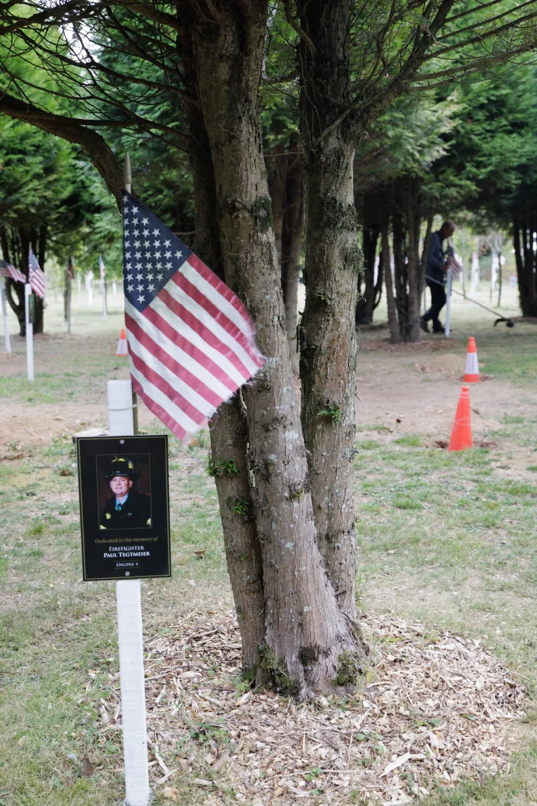 Photo of Paul Tegtmeier's tree in Ringfinnan Garden of Remembrance
