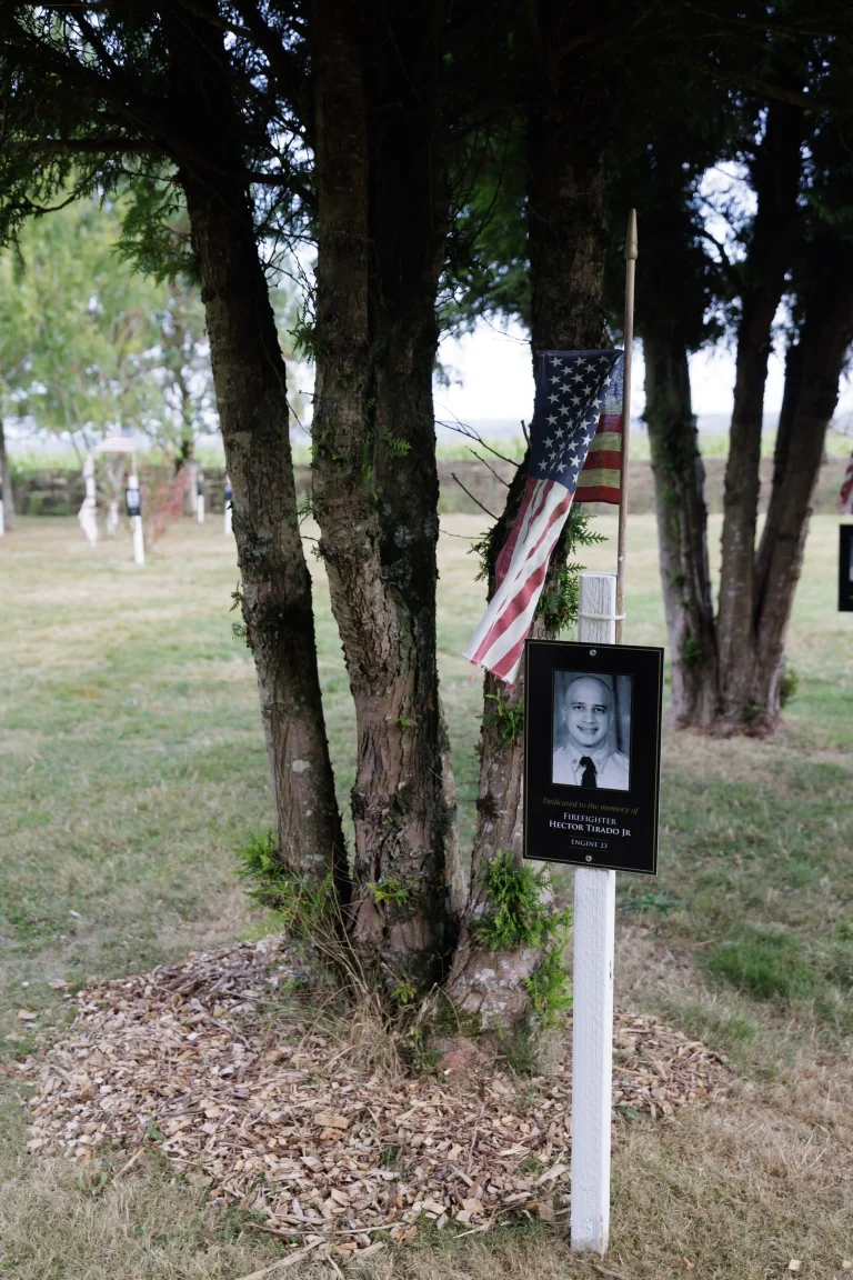 Photo of Hector Tirado Jr's tree in Ringfinnan Garden of Remembrance