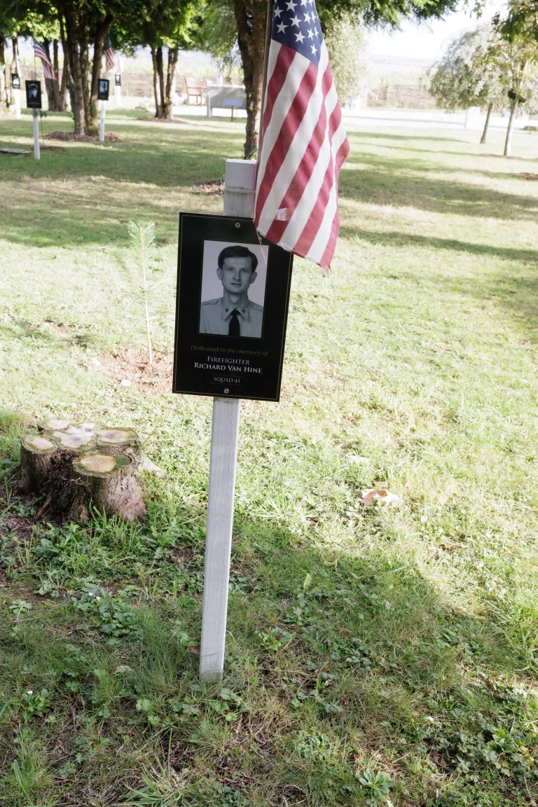 Photo of Richard Van Hine's tree in Ringfinnan Garden of Remembrance